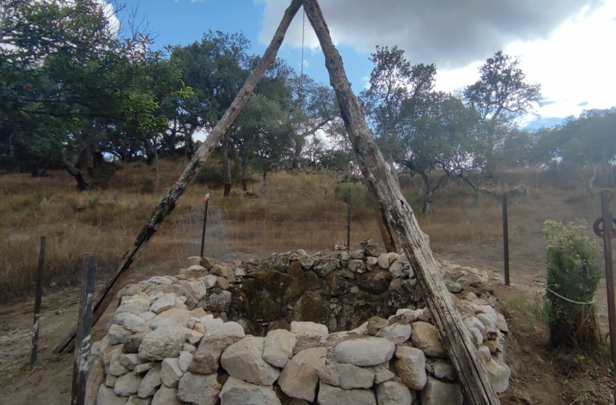 Finca Rústica con Proyecto de Ecoturismo en la Vega del Madroñal, Extremadura